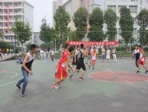 财经贸易系成功举办第九届迎新杯篮球赛